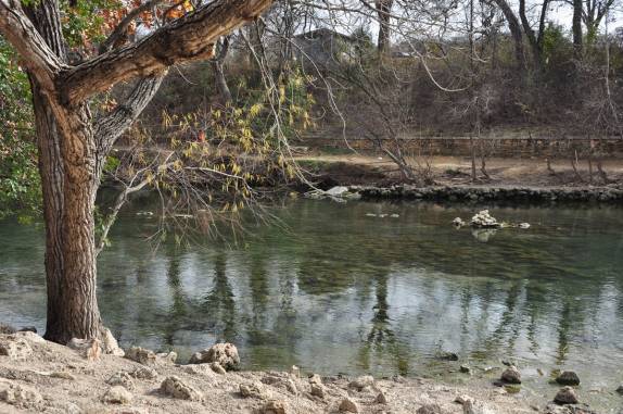 Passeando no Zilker Park, o parque mais conhecido de Austin, no Texas. nos Estados Unidos